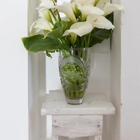 Krmek Apartamento Dubrovnik