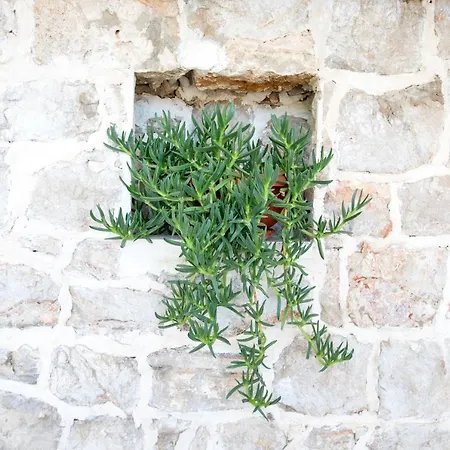 Apartment Krmek Dubrovnik