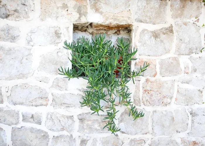 Lägenhet Krmek Dubrovnik